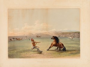 Catturare il cavallo selvaggio - n. 4 da George Catlin