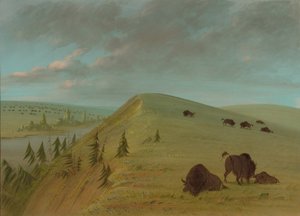 Cedar Bluffs, 1861-1869 da George Catlin