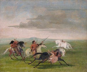 Imprese di equitazione dei Comanche
