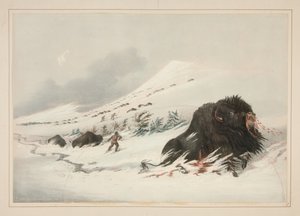  da George Catlin