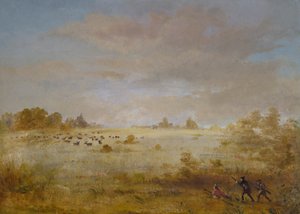 Alci al pascolo in una prateria autunnale da George Catlin