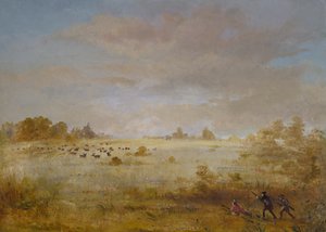 Alce che Pascola in una Prateria Autunnale da George Catlin