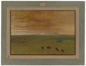 Grand Lavoir, Pampa del Sacramento da George Catlin