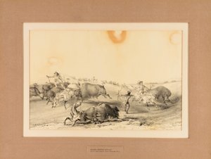 Indiani a caccia di bufali - n. 7