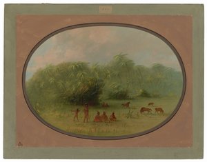 Indiani e cavalli nella foresta da George Catlin
