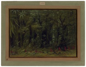 Interno di una foresta amazzonica - Zurumati da George Catlin