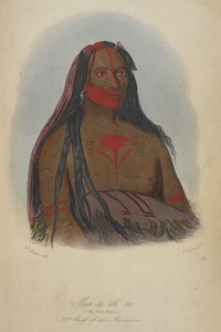 Mah-to-toh-pa (i quattro orsi) secondo capo dei Mandan da George Catlin
