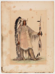 Mah-to-toh-pa, il capo Mandan da George Catlin