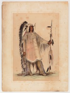 Mah-to-toh-pa, il capo Mandan da George Catlin