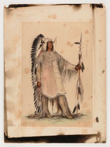 Mah-to-toh-pa, il capo Mandan da George Catlin