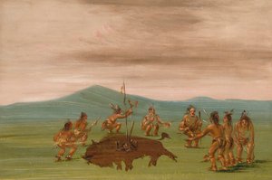 Bufalo di Medicina dei Sioux da George Catlin