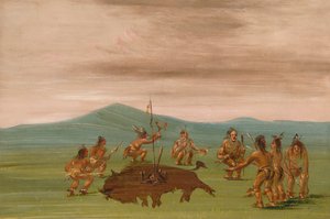 Bufalo della medicina dei Sioux da George Catlin