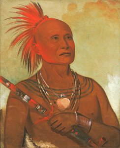 Pam-a-hó, il nuotatore, uno dei guerrieri di Falco Nero da George Catlin