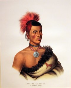 Capo Pawnee Pes Ke Le Cha Co da George Catlin