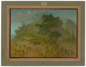 Montagna di Rododendri da George Catlin