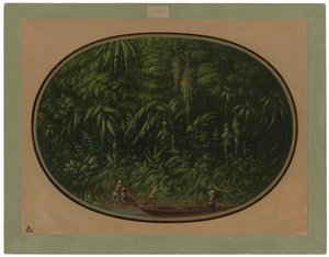 Riva del Trombetas da George Catlin