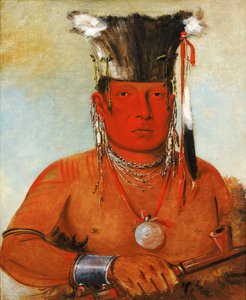 Sháw-da-mon-nee, Ecco che se ne va, un coraggioso da George Catlin