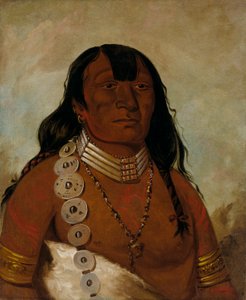 Téh-tóot-sah (meglio conosciuto come Tohausen, Little Bluff), Primo Capo da George Catlin