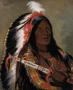 Táh-téck-a-da-háir, Vento Ripido, un coraggioso della banda Bad Arrow Points da George Catlin