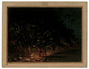 Caccia alla tartaruga, 1854-1869
