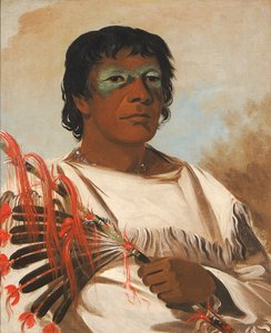 Wah-pe-kée-suck, Nuvola Bianca (detto il Profeta), consigliere di Falco Nero da George Catlin