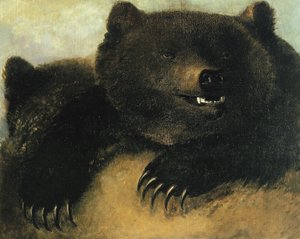 Armi e fisionomia dell