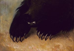 Armi e Fisiognomia dell
