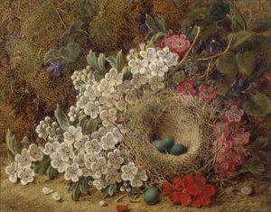 Un nido di uccelli e fiori su una riva muschiosa da George Clare