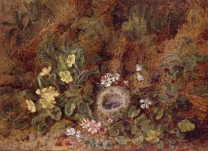 Natura morta con nido di uccelli e fiori selvatici