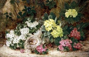 Natura Morta con Primule da George Clare