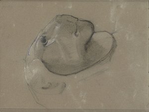 Testa di leone, probabilmente da una scultura da George Clausen