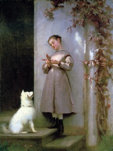 Compagni di gioco