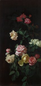 Rose da George Cochran Lambdin