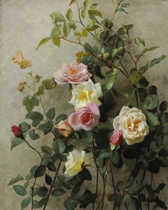 Rose su un muro da George Cochran Lambdin