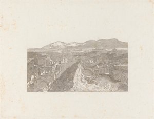Il Foro Romano dalla Torre del Campidoglio