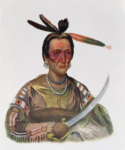 To-Ka-Cou, un capo Sioux Yankton, 1837, illustrazione da 