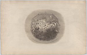 Tutto il Mondo sta per Vedere la Grande Esposizione del 1851, 1851
