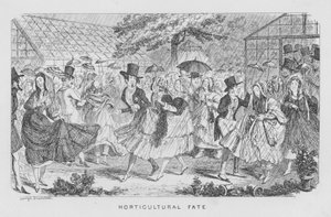 Destino orticolo, cioè pioggia a una festa da George Cruikshank