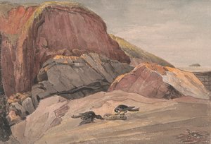 Vicino a Weston-Super-Mare con l