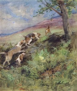 Illustrazione per The Story of a Red Deer da George Denholm Armour