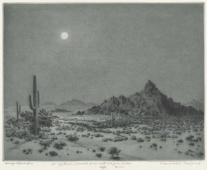 Notte in Arizona da George Elbert Burr