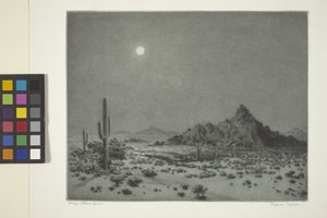 Notte in Arizona da George Elbert Burr