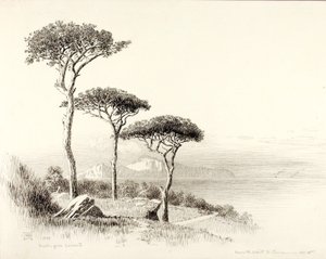 Capri from Sorrento da George Elbert Burr