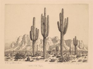 Sentinelle del deserto, Apache Trail, Arizona da George Elbert Burr