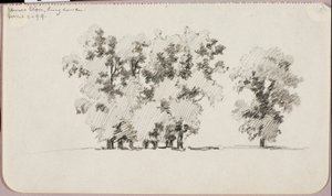 Elms--Eton, Inghilterra da George Elbert Burr