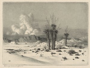 Sera, Arizona