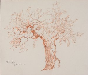 Fiesole da George Elbert Burr