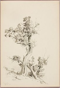 Manitou da George Elbert Burr