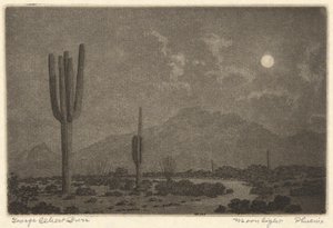 Luce della luna-Fenice da George Elbert Burr