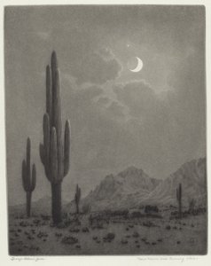 Luna nuova e stella della sera da George Elbert Burr